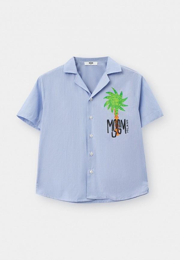 Рубашка MSGM Kids - цвет: голубой, коллекция: лето.