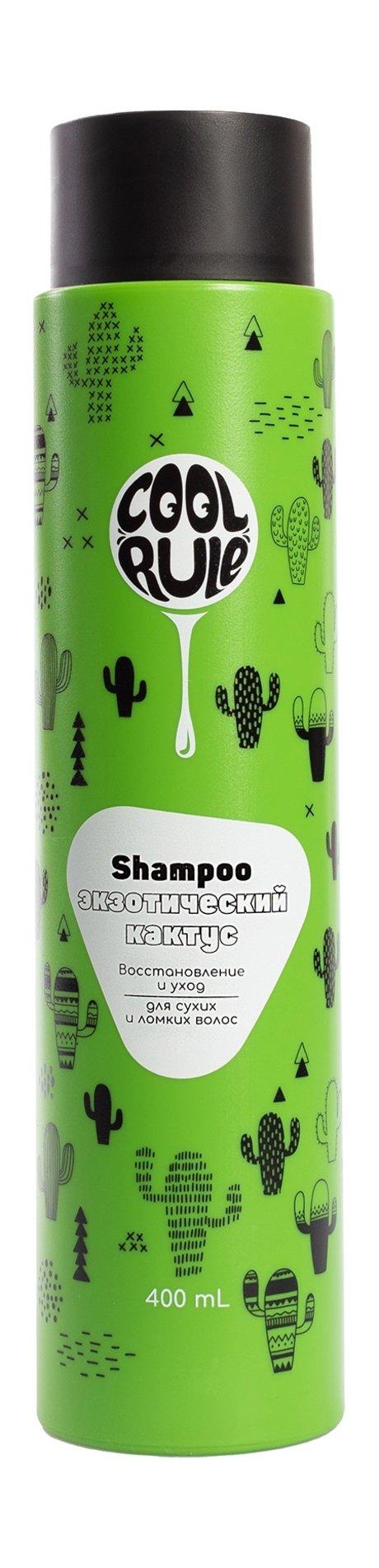 Cool Rule Shampoo Recovery & Care Exotic Cactus