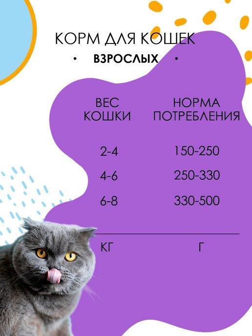 https://basket-03.wbbasket.ru/vol383/part38301/38301872/images/c516x688/2.jpg?r=2024-8-14