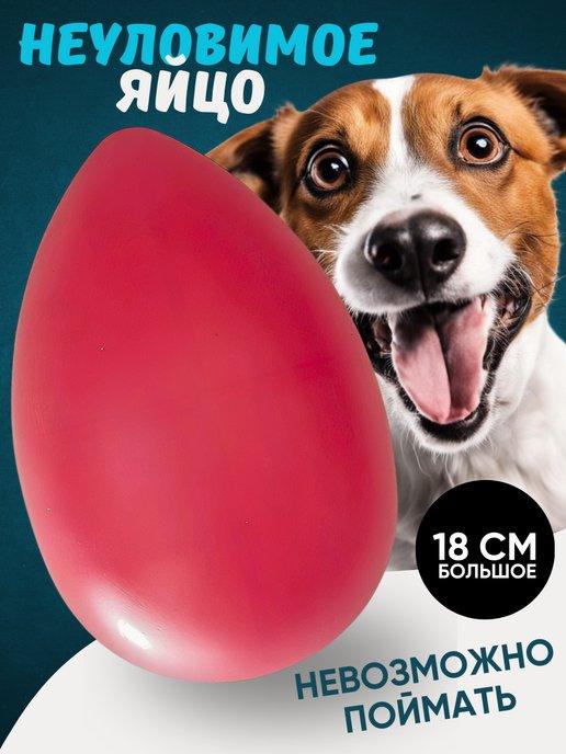 Антицарапки | Игрушка для собак неуловимое яйцо