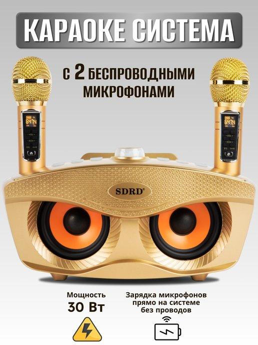 Cool Store | Караоке система для дома с микрофонами