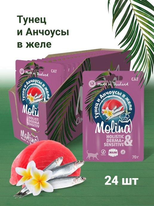 Molina | Паучи для кошек Тунец и Анчоусы в желе, 70 г х 24 шт