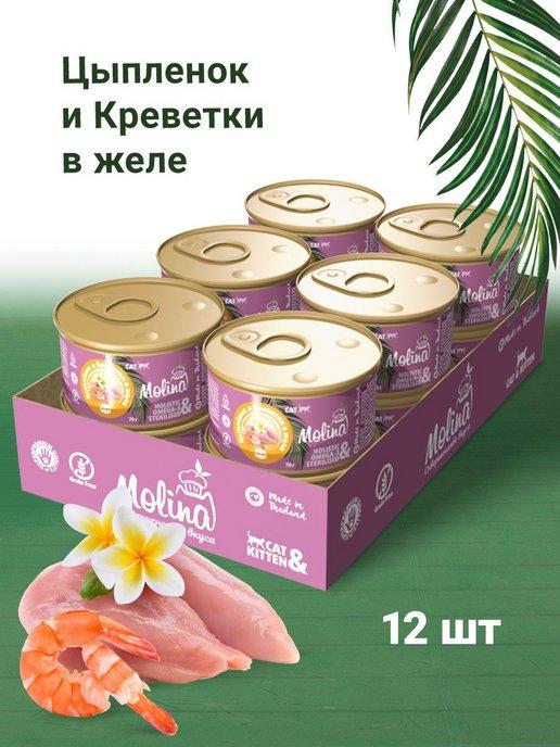 Molina | Консервы для кошек Цыпленок и Креветки в желе, 70 гр х 12 шт