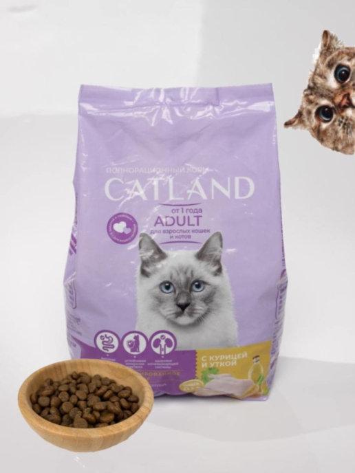 Catland | Полнорационный корм для кошек и котов
