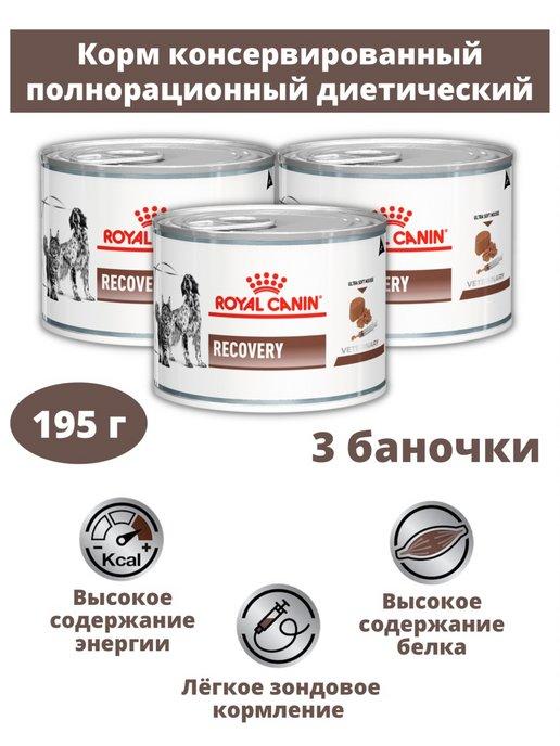 Консервы для кошек и собак Recovery 3 банки по 195 г