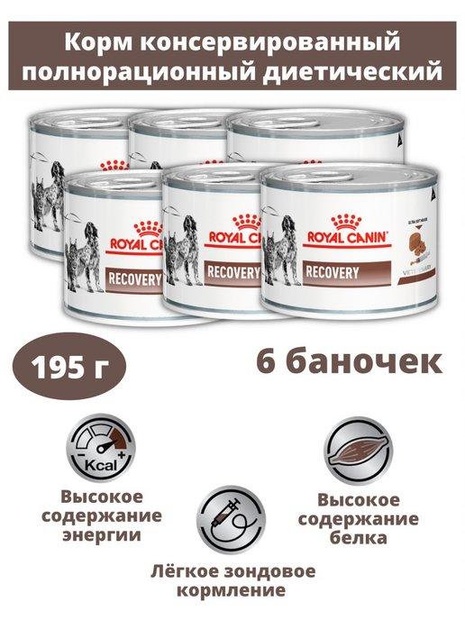 Консервы для кошек и собак Recovery 6 банок по 195 г