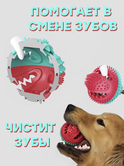 https://basket-07.wbbasket.ru/vol1111/part111192/111192592/images/c516x688/4.jpg?r=2024-8-12