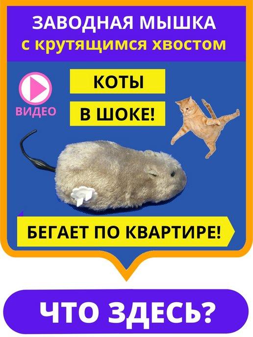 Интерактивная игрушка для животных заводная мышка мышь для к…