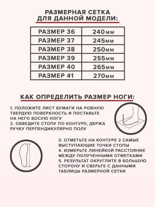 https://basket-09.wbbasket.ru/vol1231/part123125/123125220/images/c516x688/2.jpg?r=2024-8-7