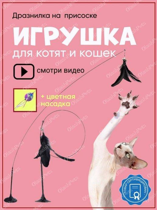 Игрушка для кошек удочка интерактивная