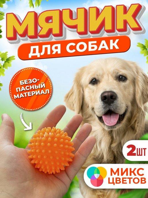 Мячик с шипами для собак