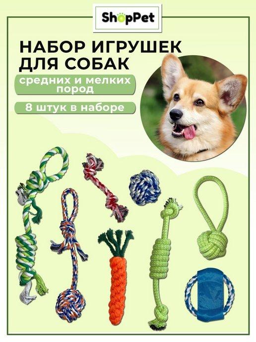 ShopPet | Игрушки для собак мелких и средних пород 8 штук