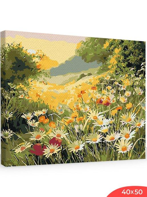 Картина по номерам "Пейзаж цветы ромашки на лугу 40х50"