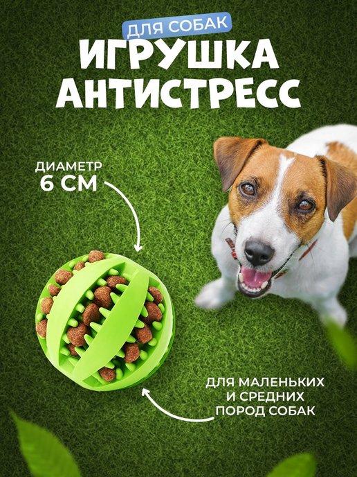 for cats&dogs | Игрушка для собак