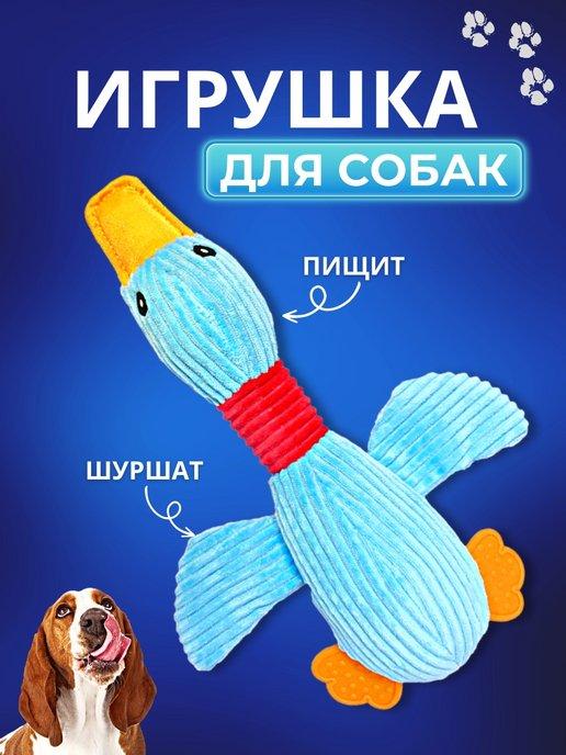 Игрушки для собак мелких и средних пород