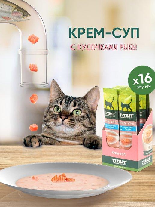 Лакомство для кошек Крем-суп с кусочками лосося 10г х 16 шт