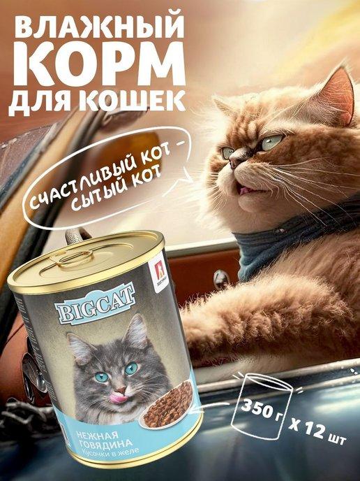 Корм для кошек BIG CAT Нежная говядина 350г х12шт