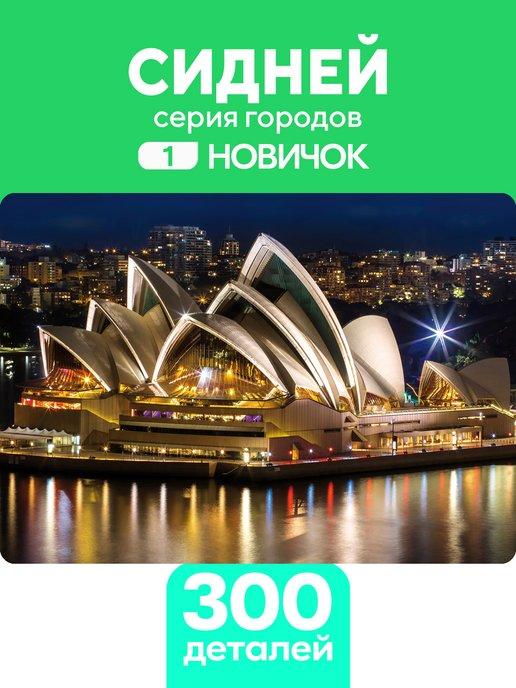 Пазл деревянный Сидней 300 деталей для новичка