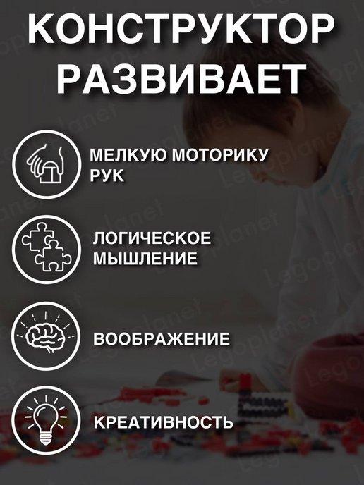 https://basket-11.wbbasket.ru/vol1651/part165182/165182643/images/c516x688/4.jpg?r=2024-8-15