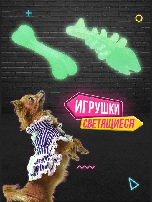 Игрушки для собак светящиеся