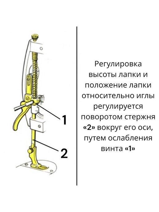 https://basket-12.wbbasket.ru/vol1668/part166809/166809768/images/c516x688/5.jpg?r=2024-10-12