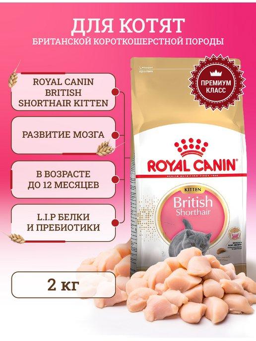 Сухой корм для котят British Shorthair Kitten 2 кг