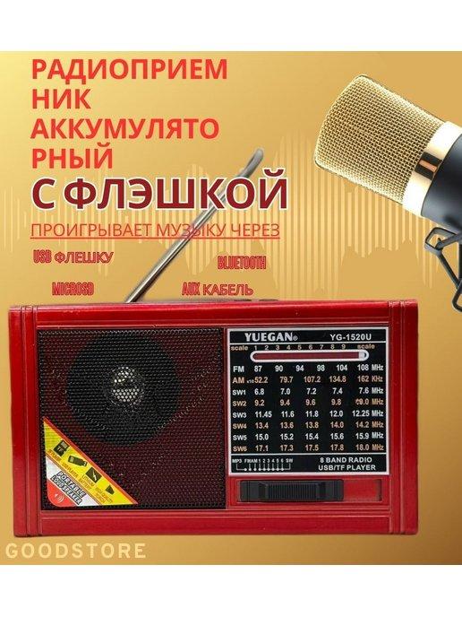 Радиоприемник аккумуляторный с флэшкой Yuegan