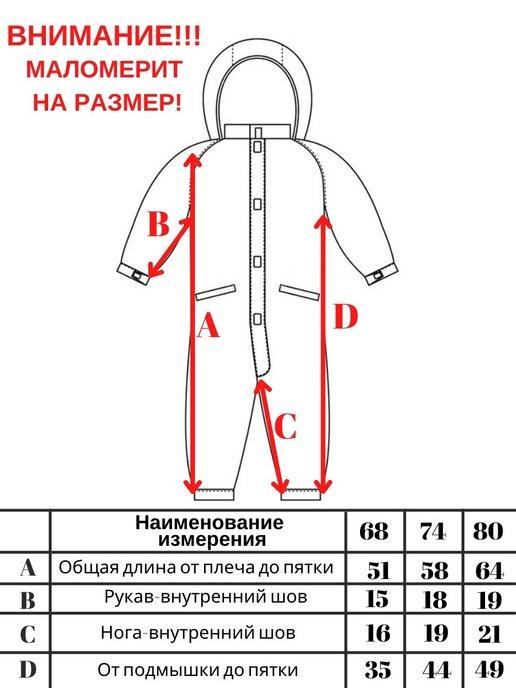 https://basket-12.wbbasket.ru/vol1739/part173925/173925131/images/c516x688/2.jpg?r=2024-10-16