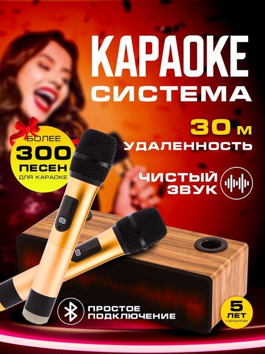 Акустическая караоке система для дома, 2 микрофона