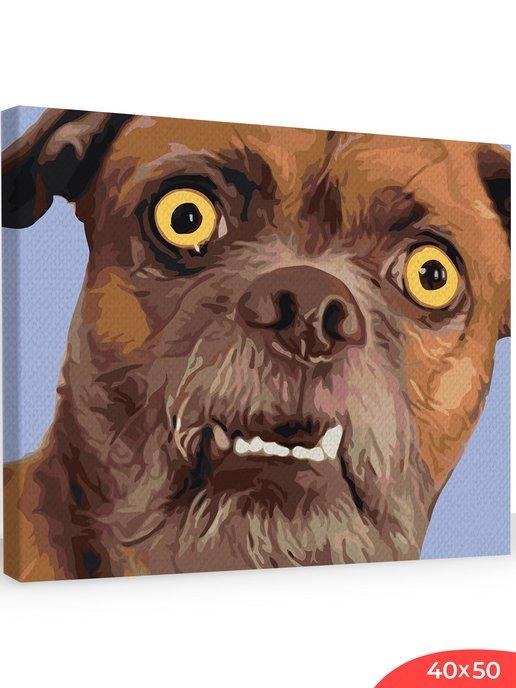 Картина по номерам на холсте Смешная собака 40x50