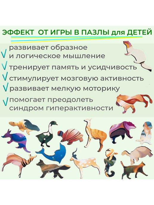 https://basket-12.wbbasket.ru/vol1834/part183446/183446176/images/c516x688/5.jpg?r=2024-8-7