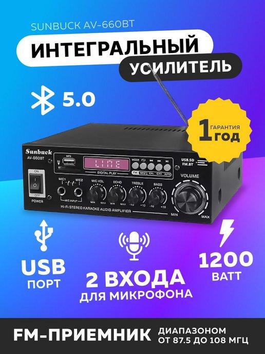 Интегральный Bluetooth усилитель Sunbuck