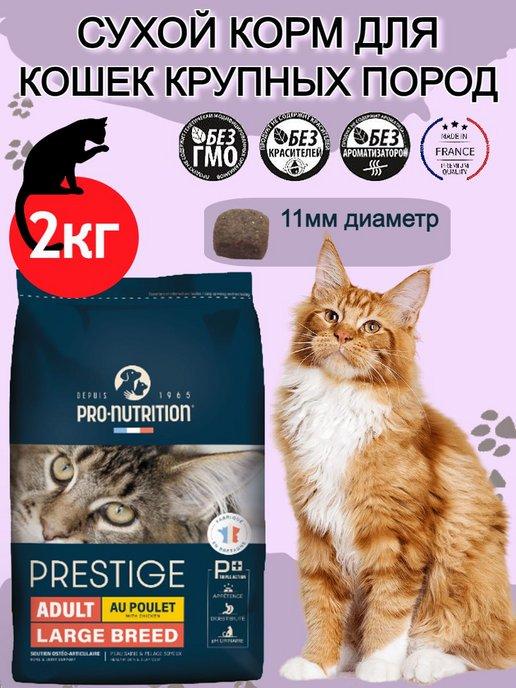 Корм сухой для кошек крупных пород Мейн-кун Large Breed 2кг