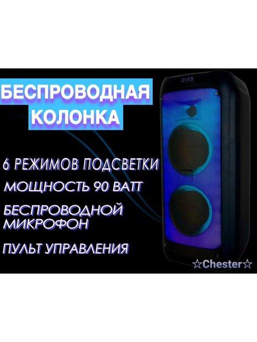 Портативная акустическая система