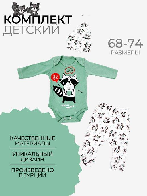 Комплект одежды для новорождённых Енот