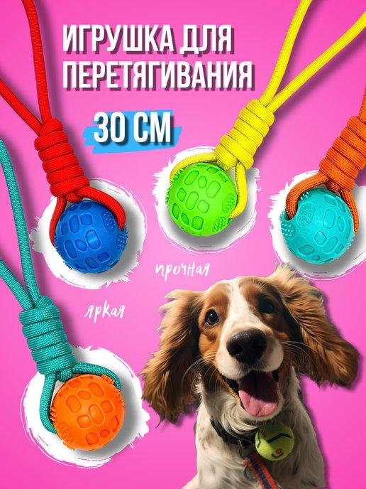 FromBuddy | Грейфер петля с мячом для собак