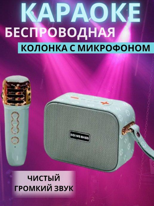 Беспроводная колонка с микрофоном караоке