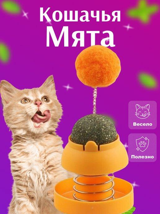 Кошачья мята с игрушкой