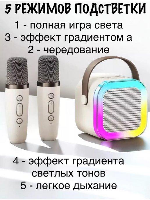 Портативная колонка Bluetooth с караоке с двумя микрофонами