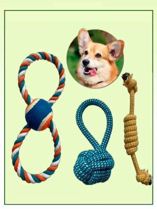 ShopPet | Игрушки для собак мелких и средних пород 3 штуки