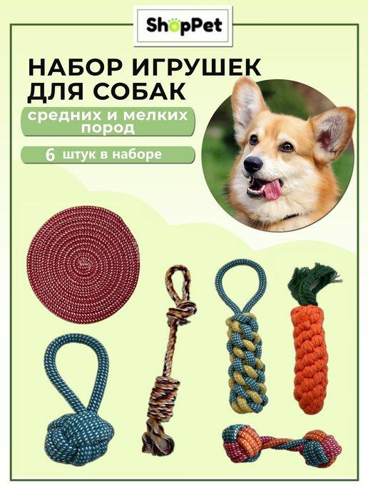 ShopPet | Игрушки для собак мелких и средних пород 6 штук