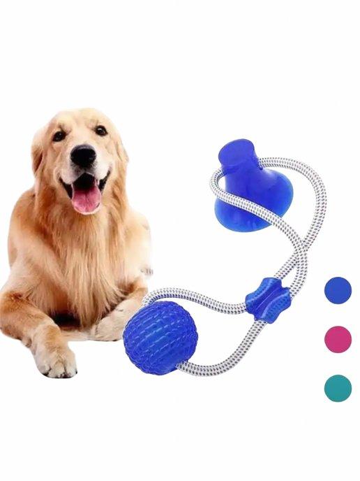 Мяч на веревке с присоской для собак игрушка-кормушка
