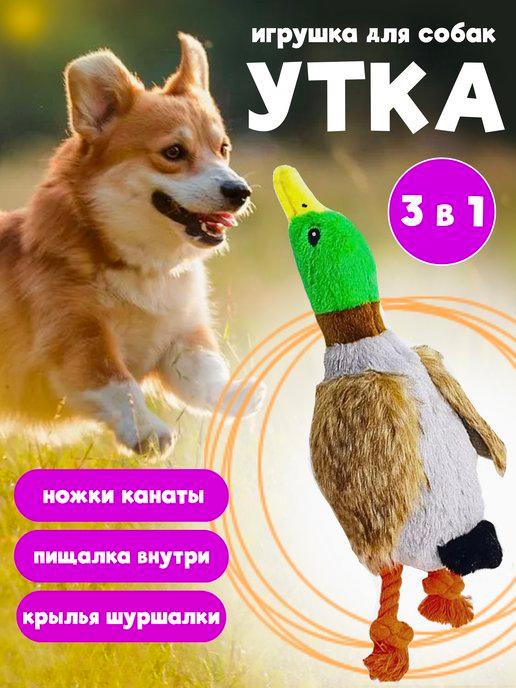 Игрушка для собак и щенков утка