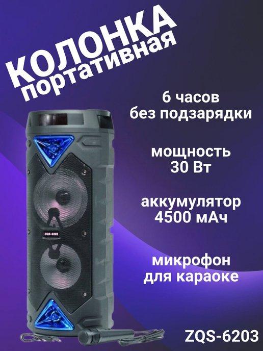 Портативная колонка с микрофоном