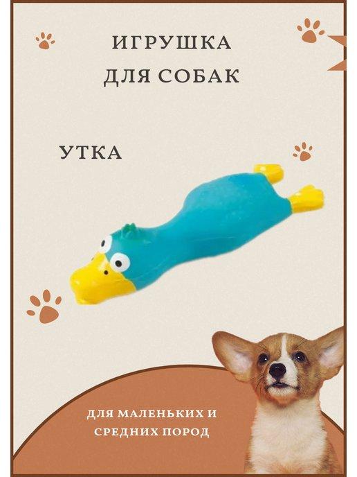 Игрушка для собак пищалка