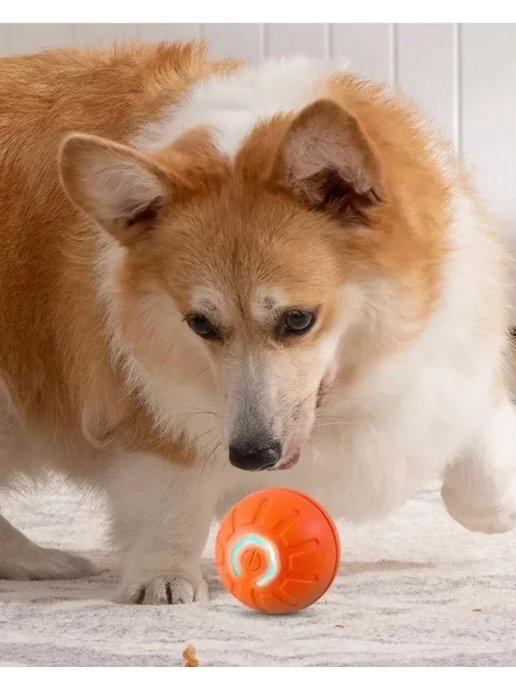 MigMax | Умный прыгающий мячик для собак с подсветкой