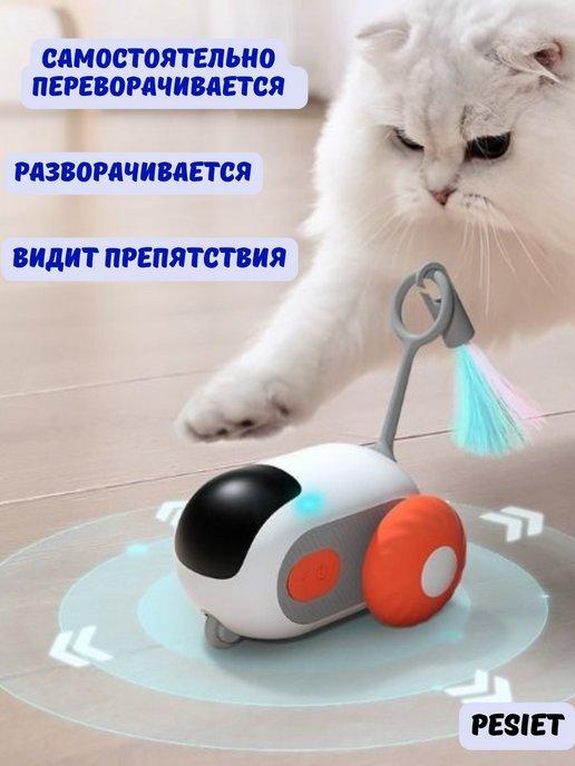 Интерактивная игрушка для кошек, дразнилка