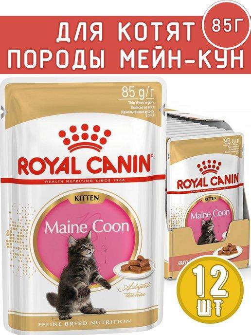 Maine Coon Kitten для котят 85 г х12 мэйн кун