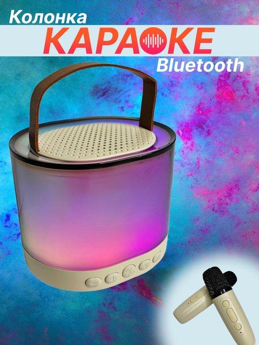 Караоке колонка с двумя микрофонами Bluetooth