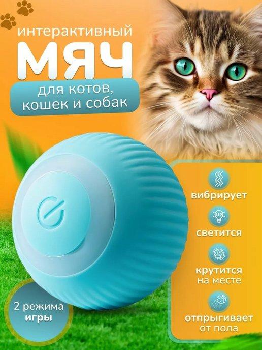 Игрушка мяч для кошек и собак интерактивный